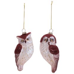 Good Tidings Brow-White Owl Ornament 5.25 in.