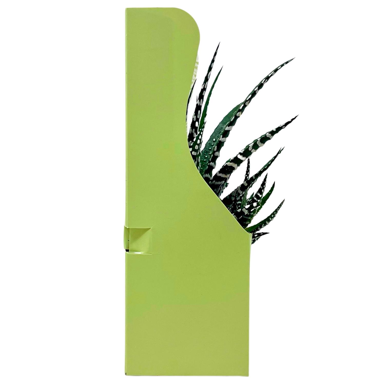 image-3