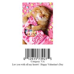 Avanti Press Greeting Cards