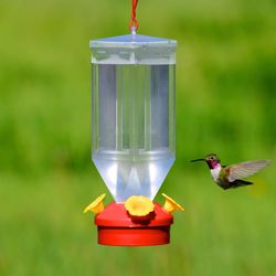 Perky-Pet Hummingbird 18 oz Plastic Lantern Nectar Bird Feeder 4 ports