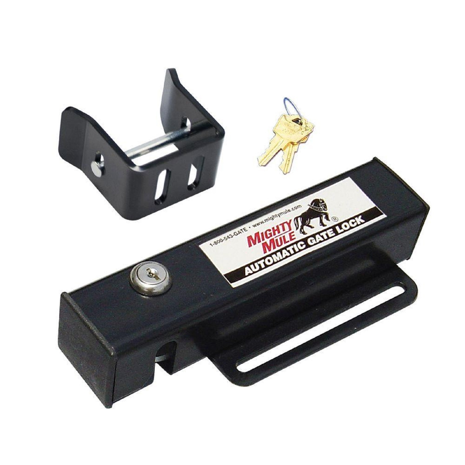 image-1