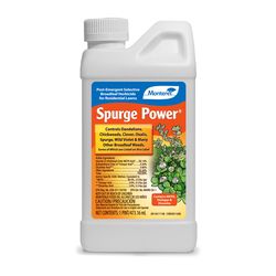 Monterey Spurge Power Broadleaf Herbicide Concentrate 1 pt