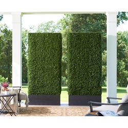 DW Silks 84 in. H X 14 in. L Polyester Boxwood Hedge
