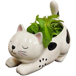 Streamline Ceramic Planter Black/White