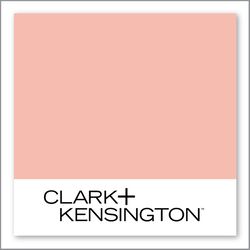Clark+Kensington Pickled Ginger 08C-4