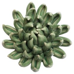 Chive English Garden 2.6 in. H X 5 in. L Glazed Green Ceramic Large Succulent Wall Flower