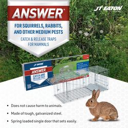 JT Eaton Answer Small Live Catch Animal Trap For Rabbits 1 pk