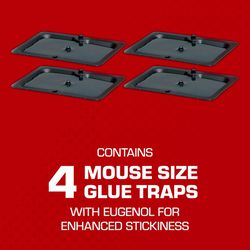 Tomcat Small Glue Trap For Mice 4 pk