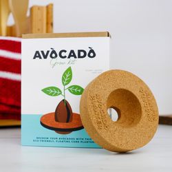 Gift Republic Avocado Grow kit Cork 1 pk