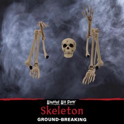 Haunted Hill Farm 34 in. Ground-Breaking Skeleton Stakes Yard Decor