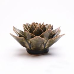 Chive English Garden 1.8 in. H X 3.9 in. L Glazed Dark Green Ceramic Echiveria Wall Flower