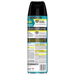 Raid Ant Killer Aerosol 17.5 oz