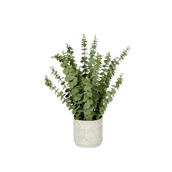 DW Silks 20 in. H X 15 in. D Polyethylene Faux Eucalyptus Planter White