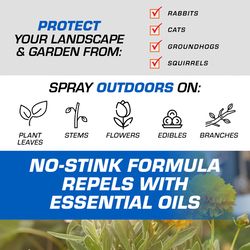 Tomcat Animal Repellent Liquid For Most Animal Types 1 gal