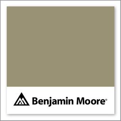 Benjamin Moore Bed Of Ferns 1511