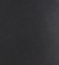 Ace Flat Black Barn and Fence Paint Exterior 1 gal  BACKGROUND