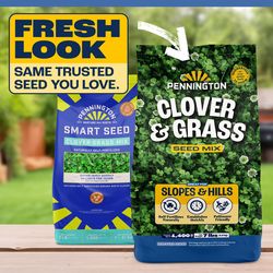 Pennington Smart Seed Clover Grass Mix Full Sun/Light Shade Grass Seed 7 lb