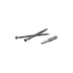 FastenMaster TrapEase No. 20 X 2-1/2 in. L Torx Ttap Star Head Composite Deck Screws 75 pk