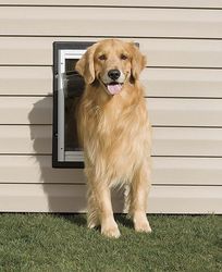 PetSafe 10 in. H X 15 in. W Medium Aluminum Door and Gate