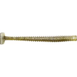 Lunkerhunt Fishing Lure 5.5 in.