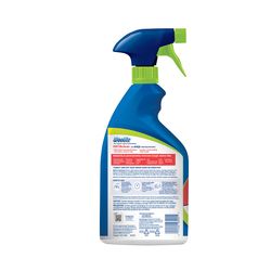 Woolite INSTAclean Oxy Carpet Cleaner 22 oz Liquid
