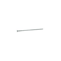 Grip-Rite 40D 5 in. Pole Barn Hot-Dipped Galvanized Steel Nail Flat Head 50 lb