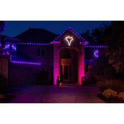 Holiday Bright Lights LED PS C9 Purple 25 ct Christmas Light Bulbs