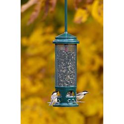Brome Bird Care SquirrelBuster Songbird 2.6 lb Metal/Plastic Squirrel Resistant Bird Feeder 4 ports