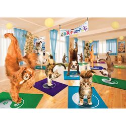 Eurographics Yoga Studio Jigsaw Puzzles Multicolored 300 pc