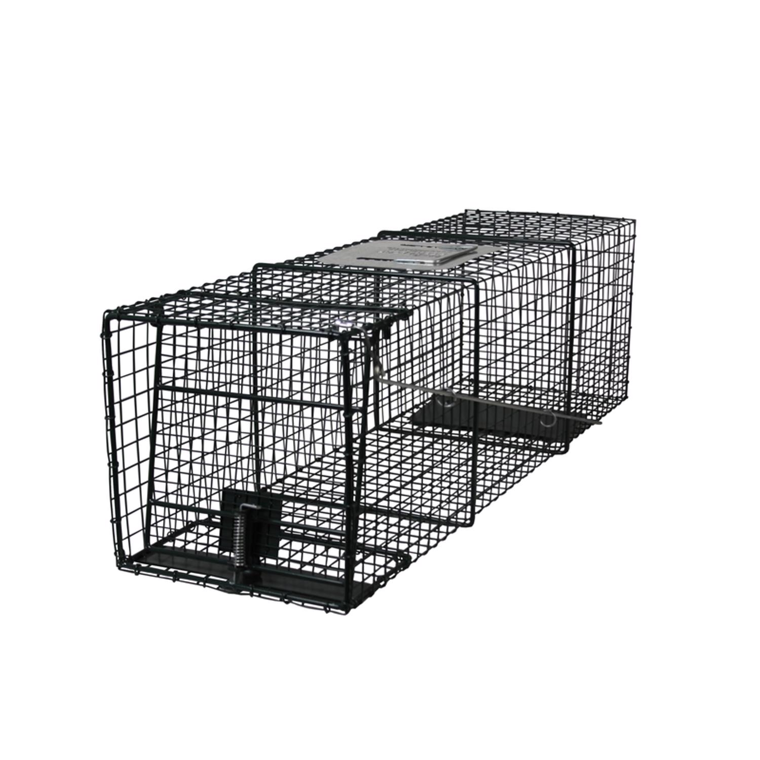 image-2