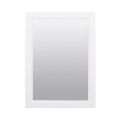 Zenna Home 22.38 in. H X 16.38 in. W X 5 in. D Rectangle Medicine Cabinet/Mirror