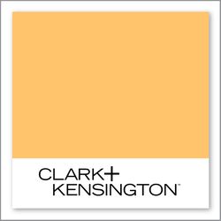 Clark+Kensington Vibrant Sunset 16C-5