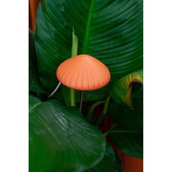 Kikkerland LED Hydroponic Grow Light 1 W