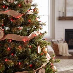 Good Tidings Incandescent Mini Red 100 ct String Christmas Lights 26 ft.