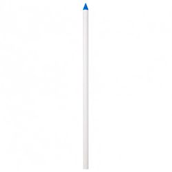 Campbell Brady PVC White 1.5 in. Pointed Well Screen