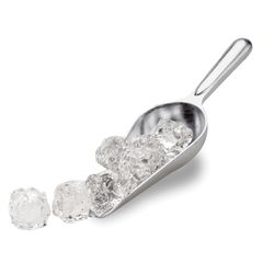 Tafa International Silver Stainless Steel Scoop