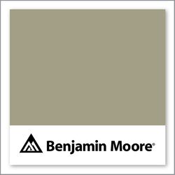 Benjamin Moore Texas Sage 1503