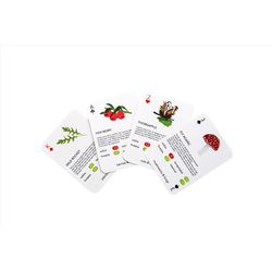 Kikkerland Foragers Playing Cards Multicolored