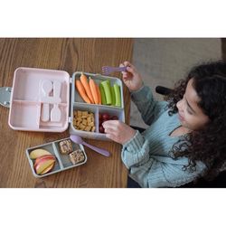 Melii Gray/Pink/Purple Bento Box 1 pk