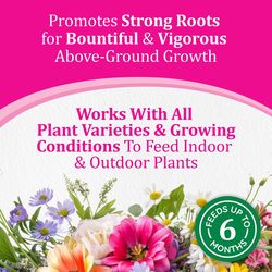 Osmocote Smart-Release Plus Outdoor & Indoor Granules Plant Food 8 lb