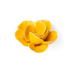 Chive France 1.97 in. H X 4.13 in. L Glazed Yellow Ceramic Lotus Wall Flower