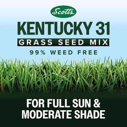Scotts Kentucky 31 Full Sun Grass Seed Mix 40 lb