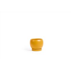 Momma Pots Gemstone Bolle 6 in. W Porcelain Planter Top Half Mustard