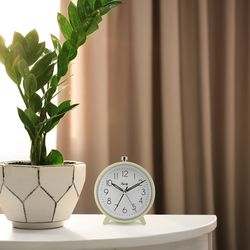 La Crosse Technology Equity 4.25 in. White Alarm Clock Analog Battery Operated