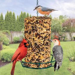 Kaytee Wild Bird Food 31.04 oz