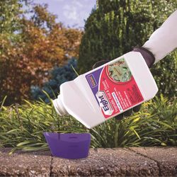 Bonide Eight Vegetable, Fruit & Flower Insect Killer Liquid Concentrate 32 oz