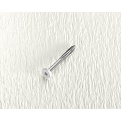 Starborn Deckfast No. 9 X 1-7/8 in. L Star Pan Head Fascia Screws 100 pk