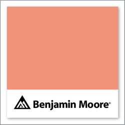 Benjamin Moore Salmon Run 019