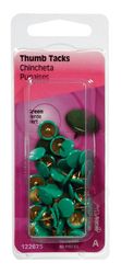 HILLMAN 5/16 in. L Green Steel Thumb Tacks 40 pk