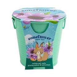 Buzzy Kids Flower Coneflower Grow Kit 1 pk
